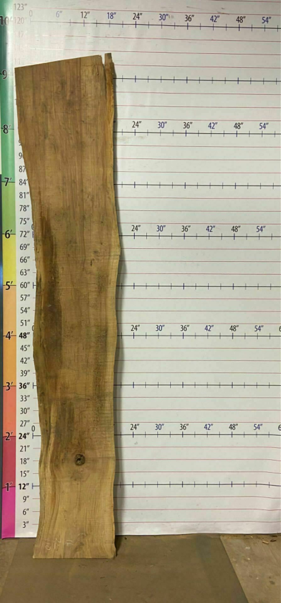Soft Maple Live Edge Slab - SftM 6