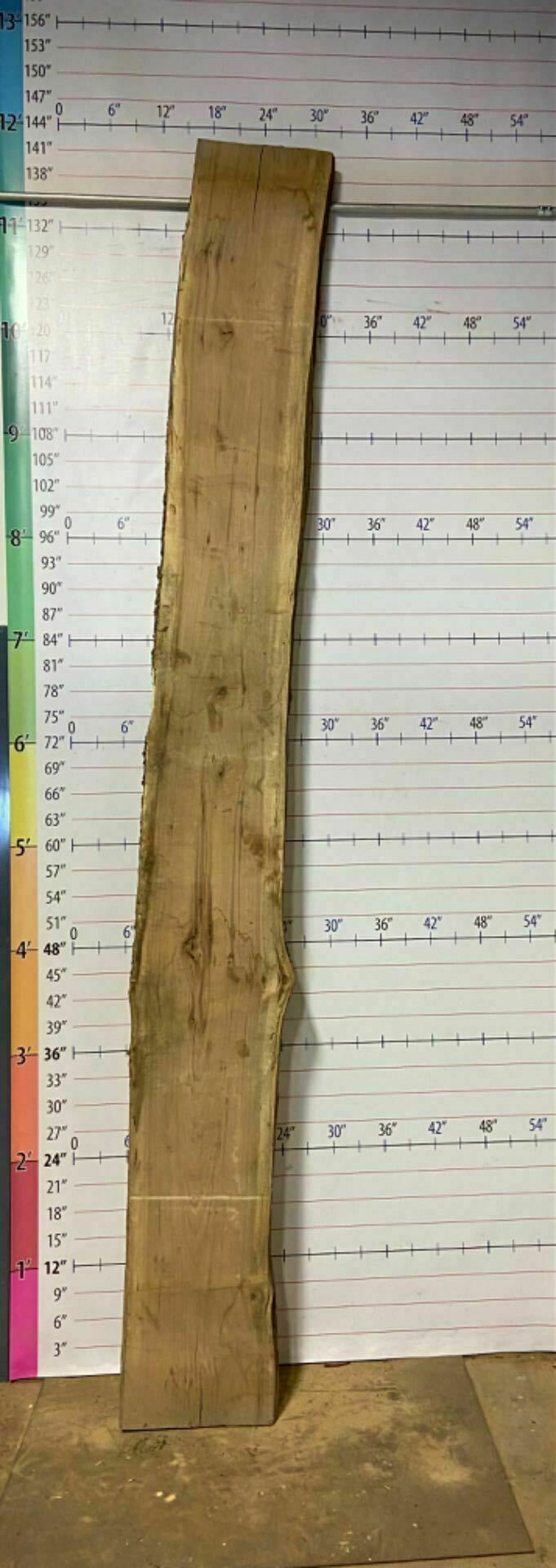 Soft Maple Live Edge Slab - SftM 8