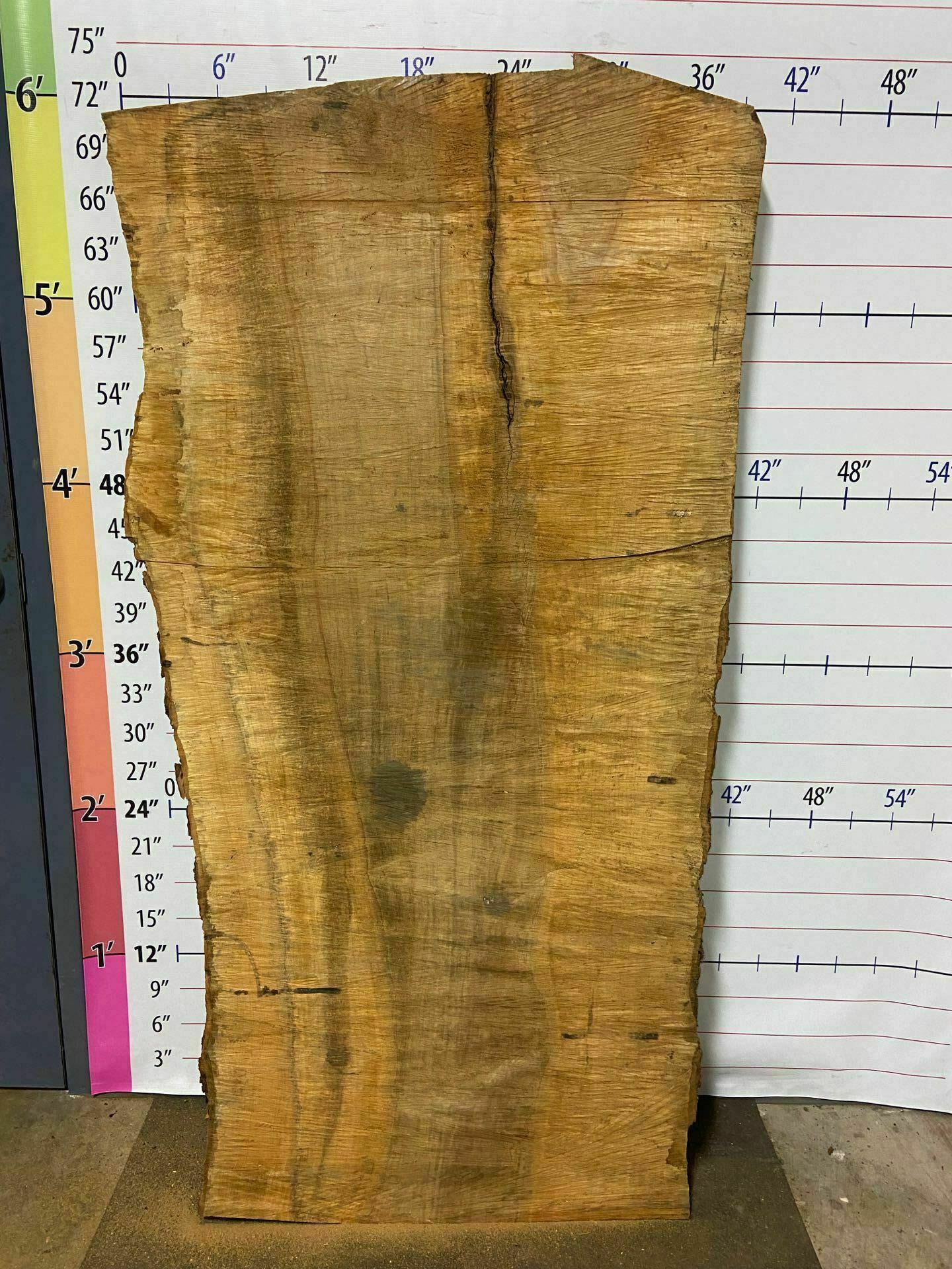 Sugar Maple Live Edge Slab - SgM 10