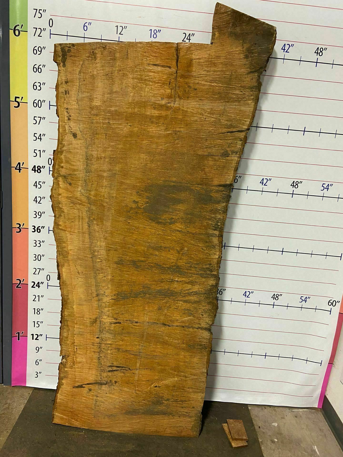 Sugar Maple Live Edge Slab - SgM 11