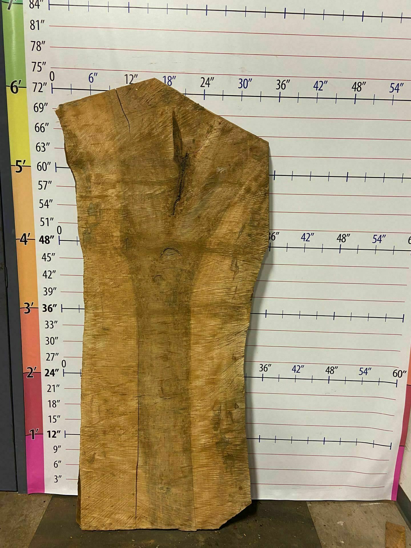 Sugar Maple Live Edge Slab - SgM 15