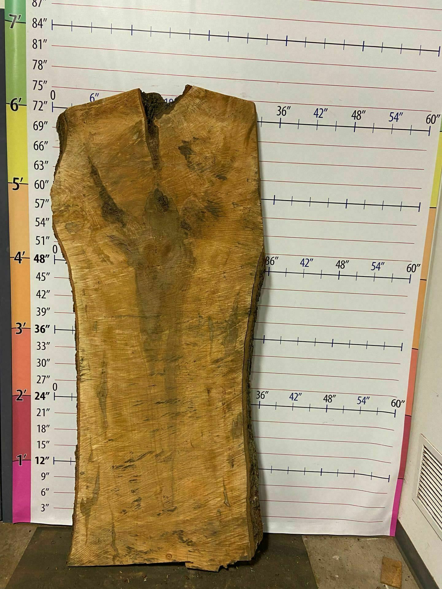 Sugar Maple Live Edge Slab - SgM 16