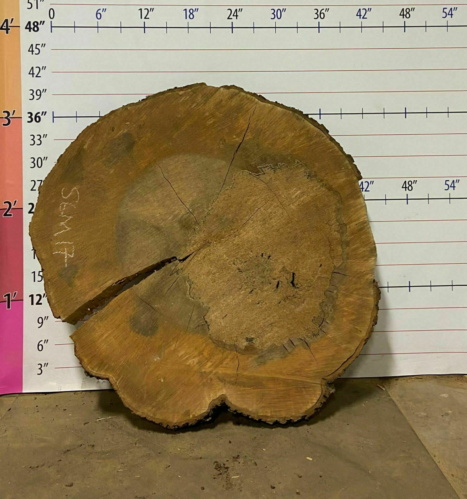 Sugar Maple Wood Cookie - SgM 17