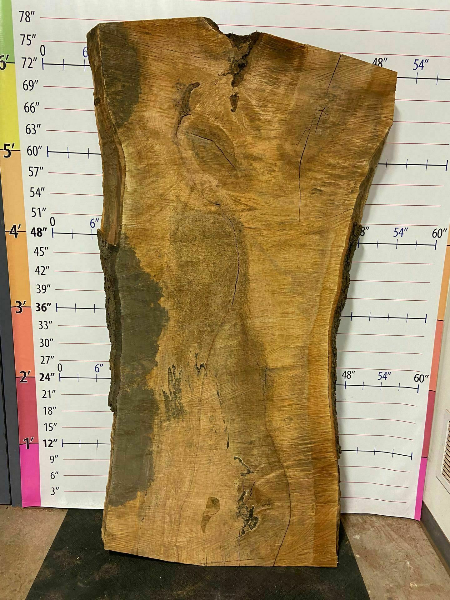 Sugar Maple Live Edge Slab - SgM 2
