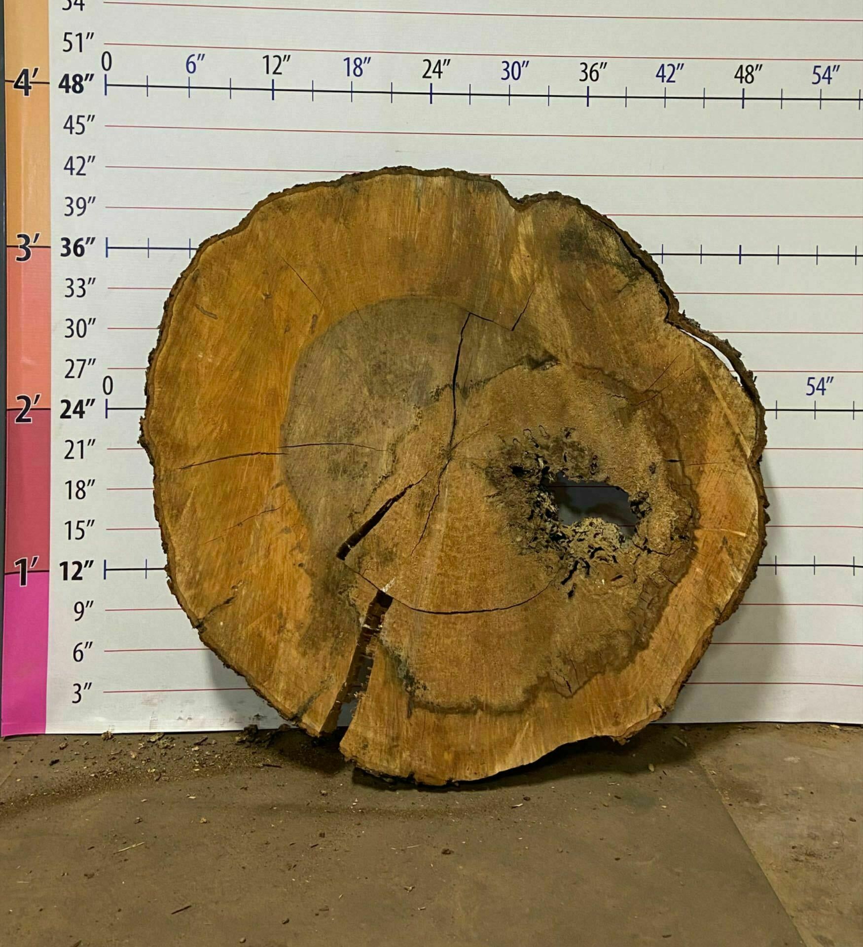 Sugar Maple Wood Cookie - SgM 20