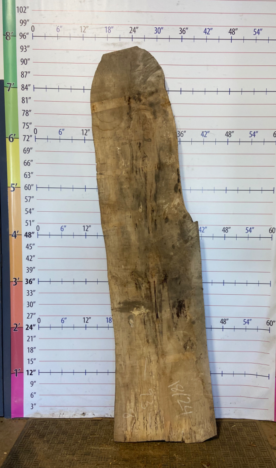 Sugar Maple Live Edge Slab - SgM 24
