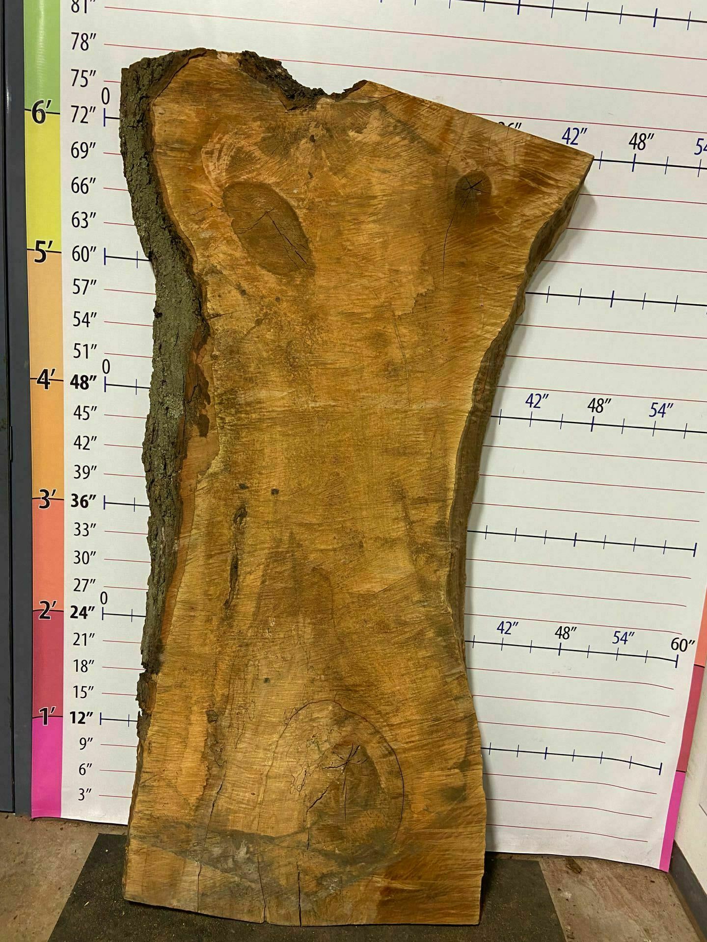 Sugar Maple Live Edge Slab - SgM 4