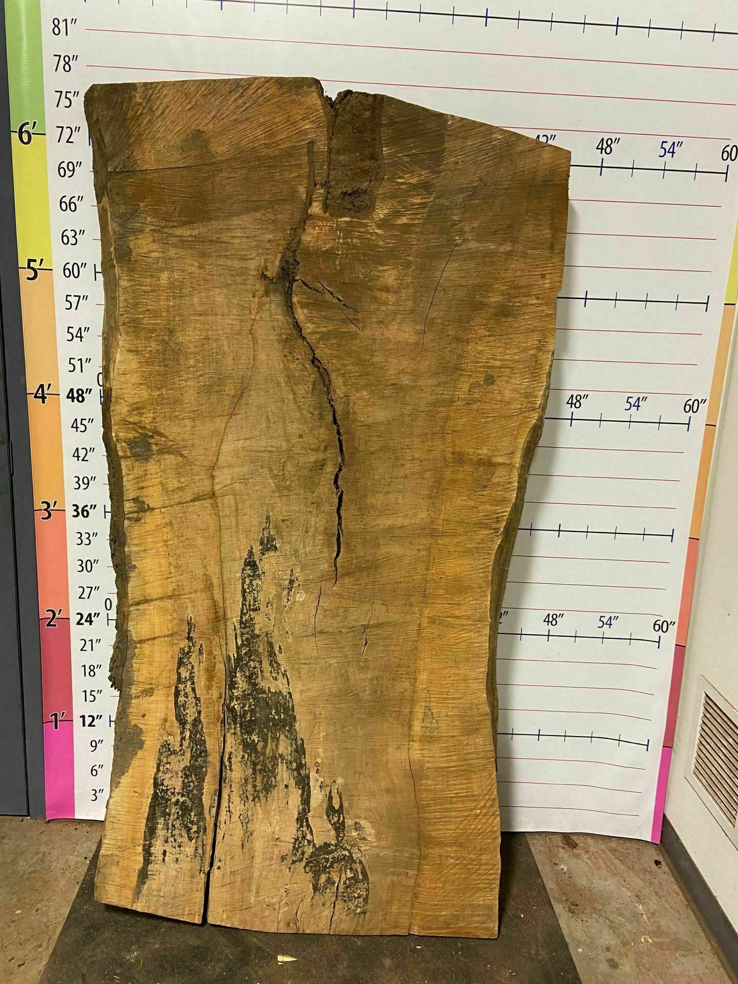 Sugar Maple Live Edge Slab - SgM 5