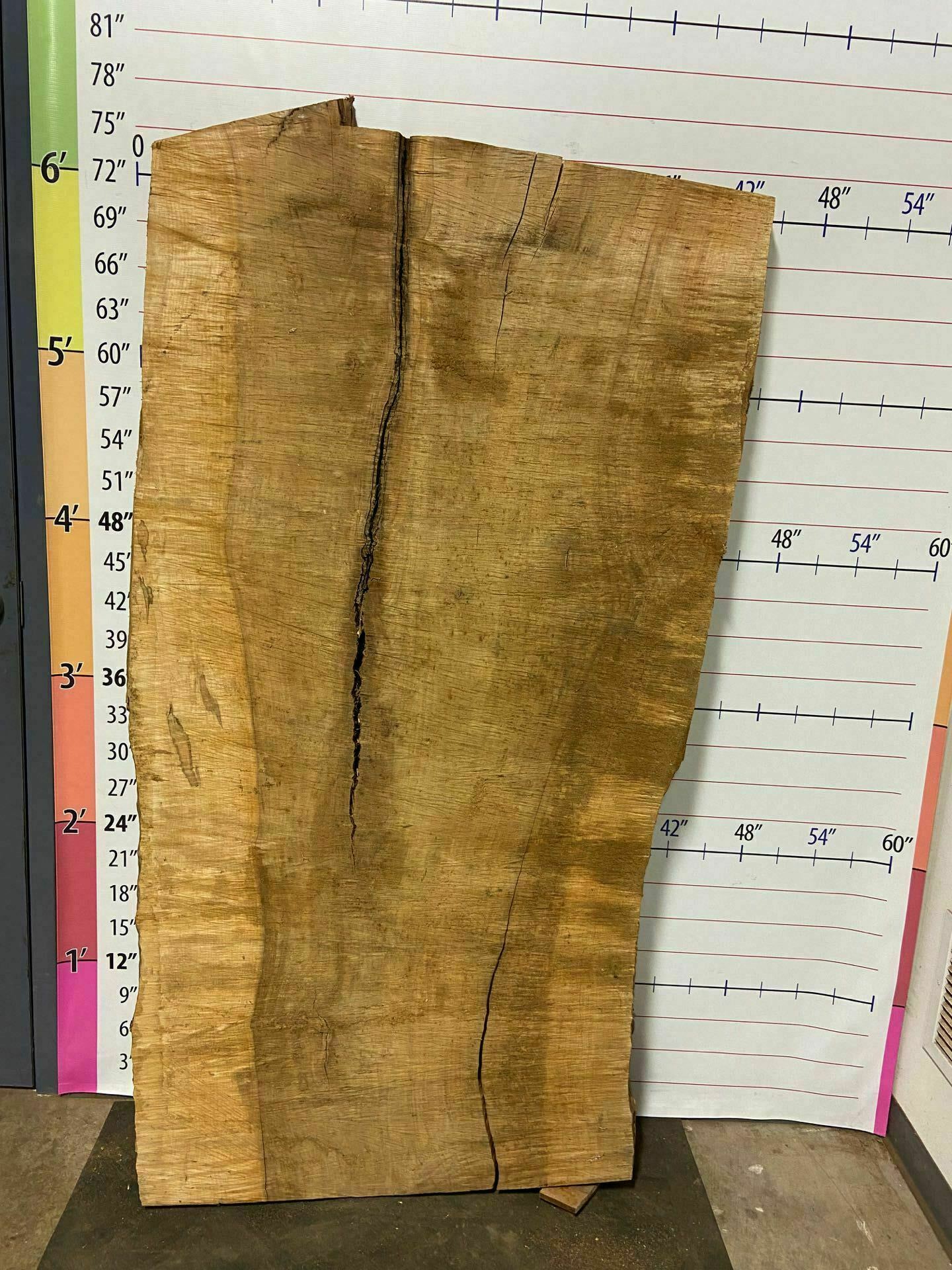 Sugar Maple Live Edge Slab - SgM 7