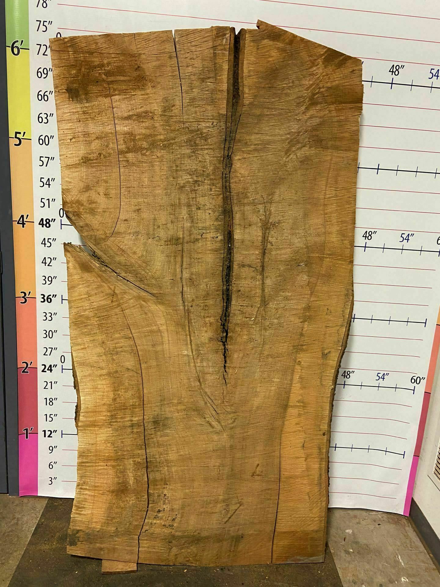 Sugar Maple Live Edge Slab - SgM 8