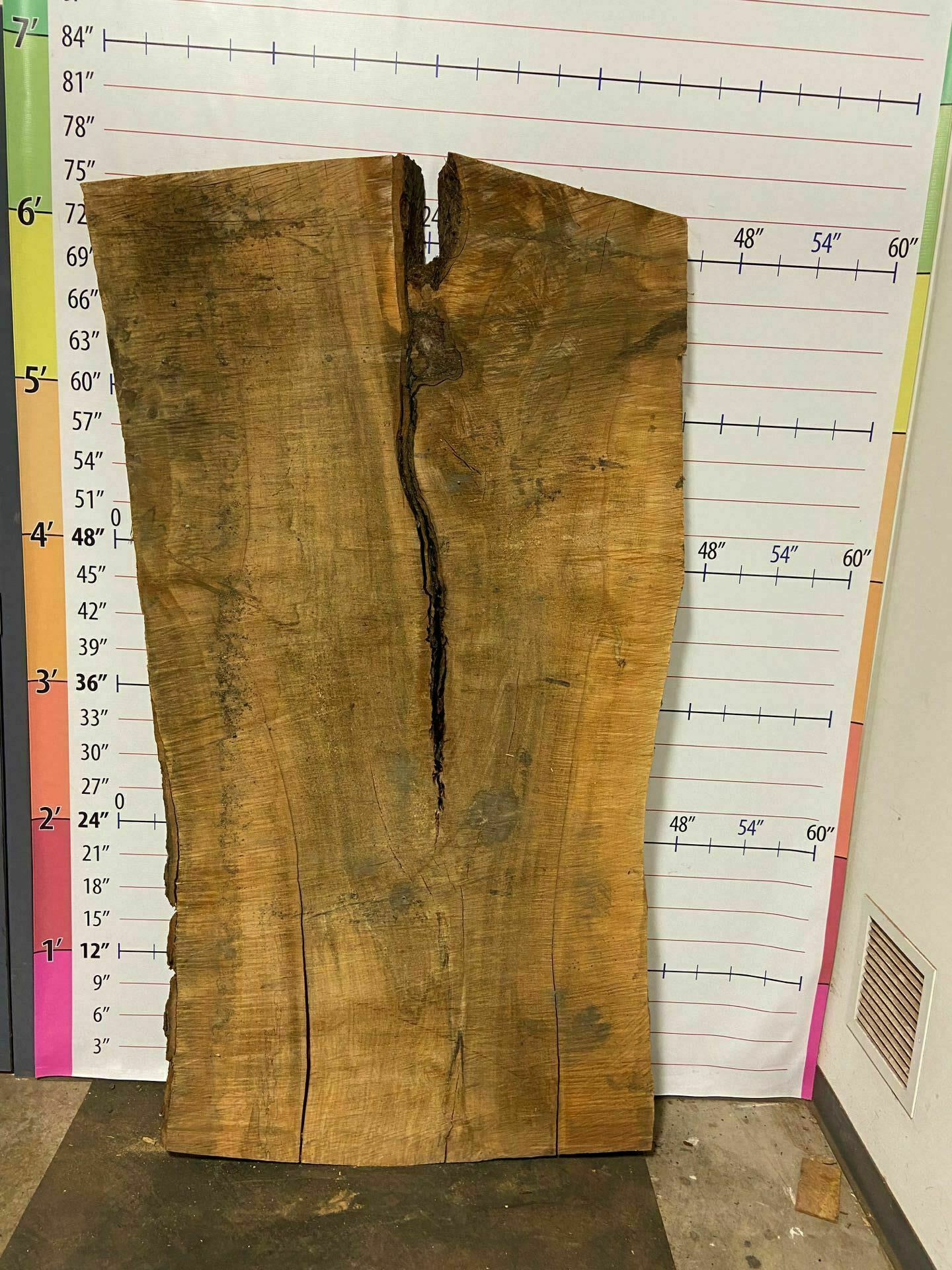 Sugar Maple Live Edge Slab - SgM 9