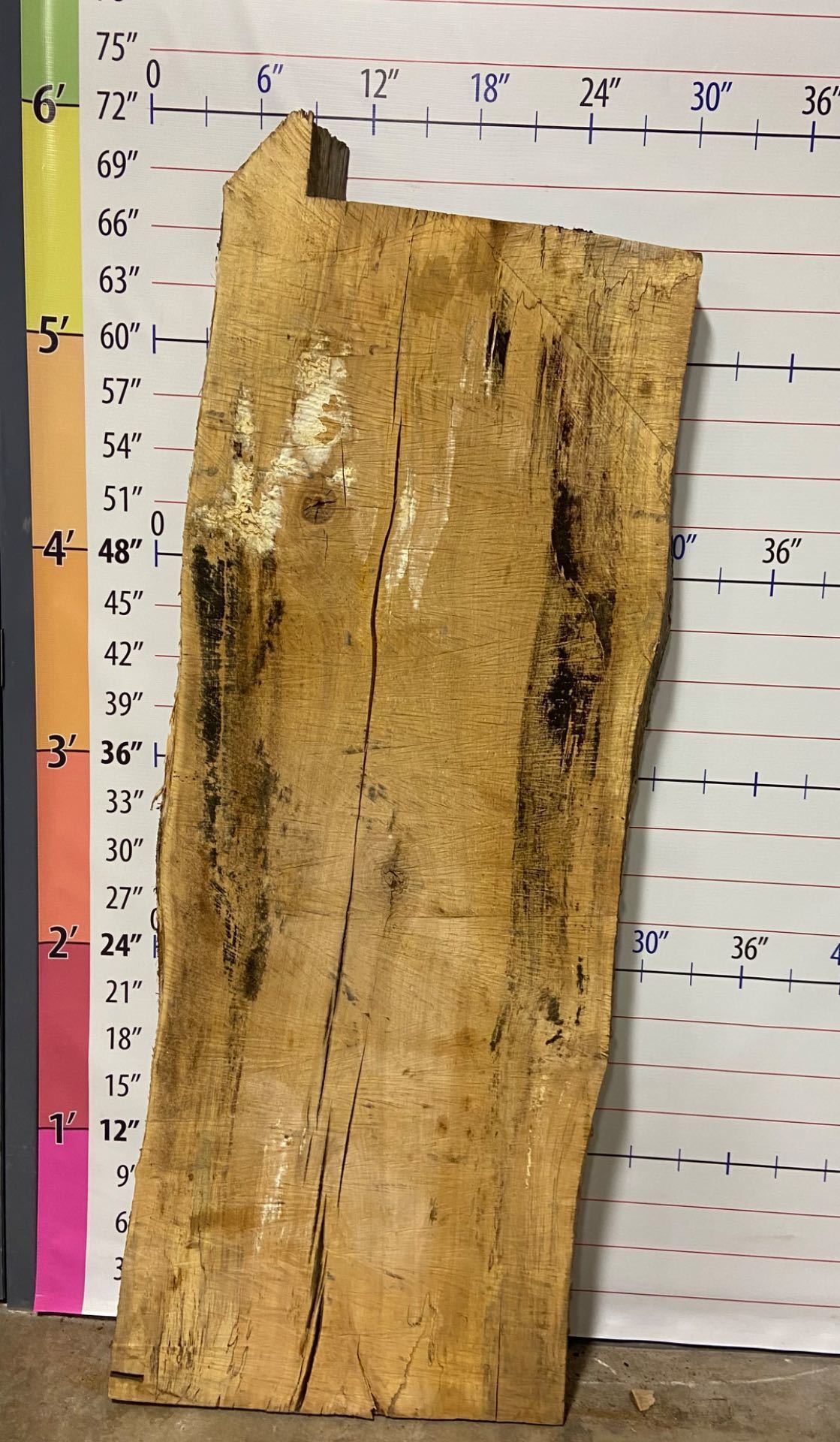 Silver Maple Live Edge Slab - SlvM 10