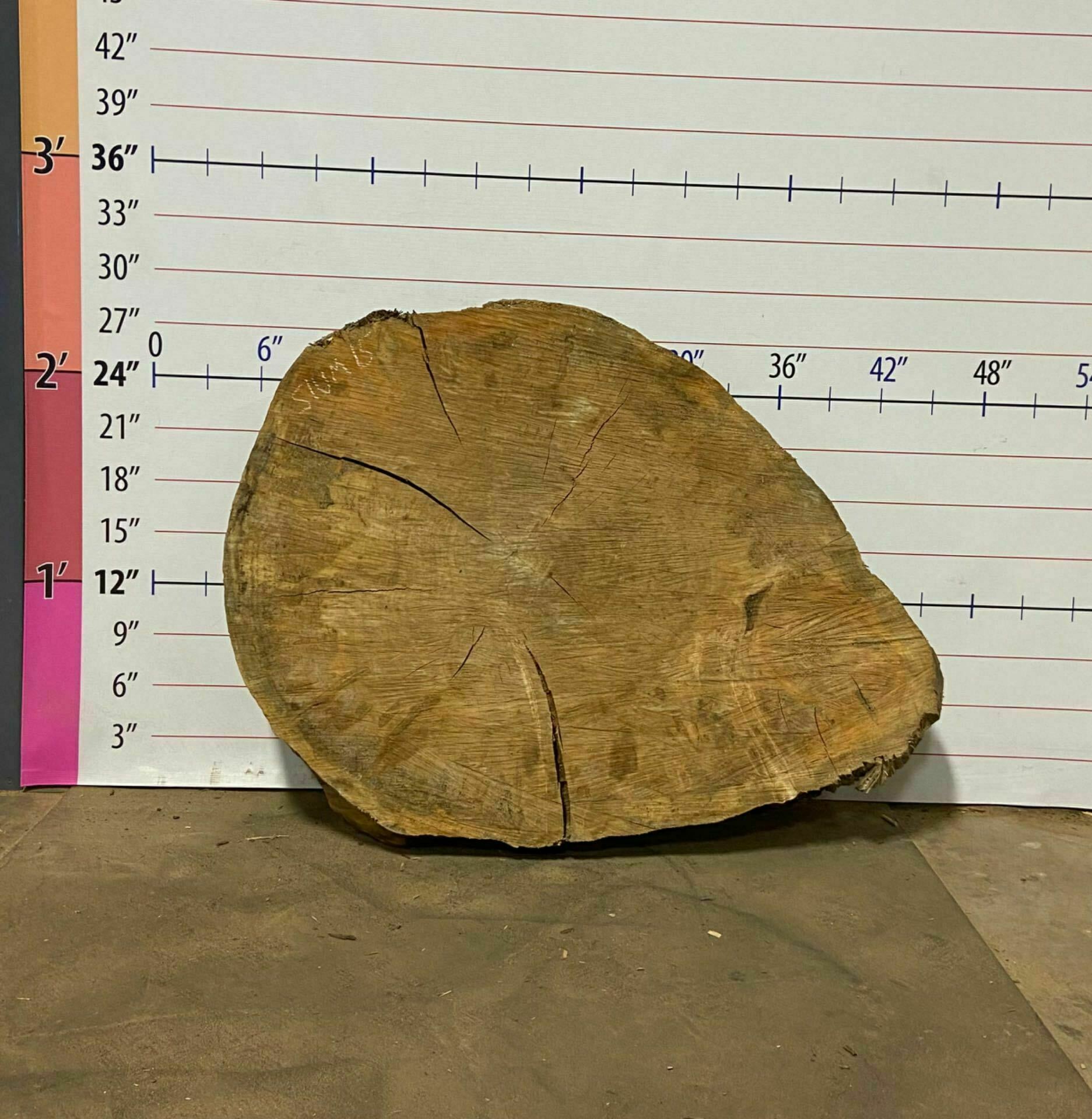 Silver Maple Wood Cookie - SlvM 15
