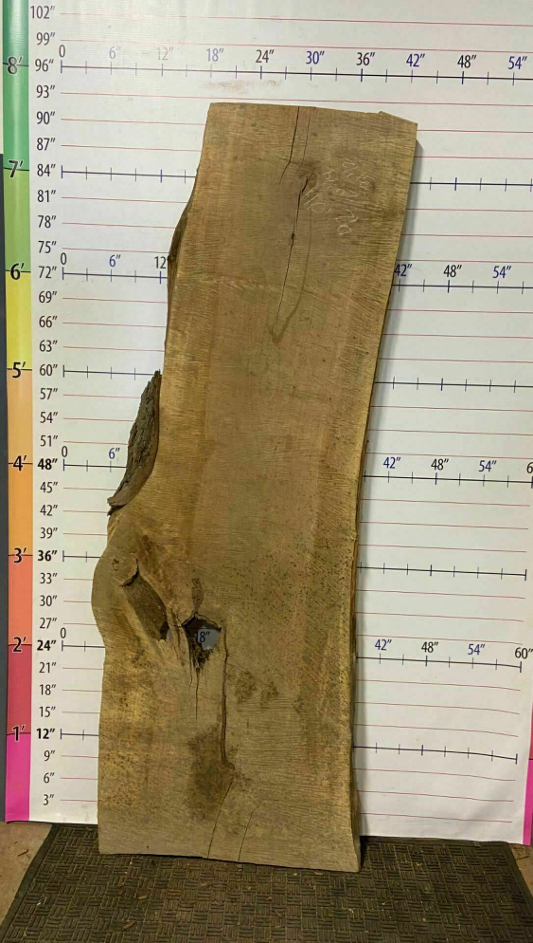 Silver Maple Live Edge Slab - SlvM 18