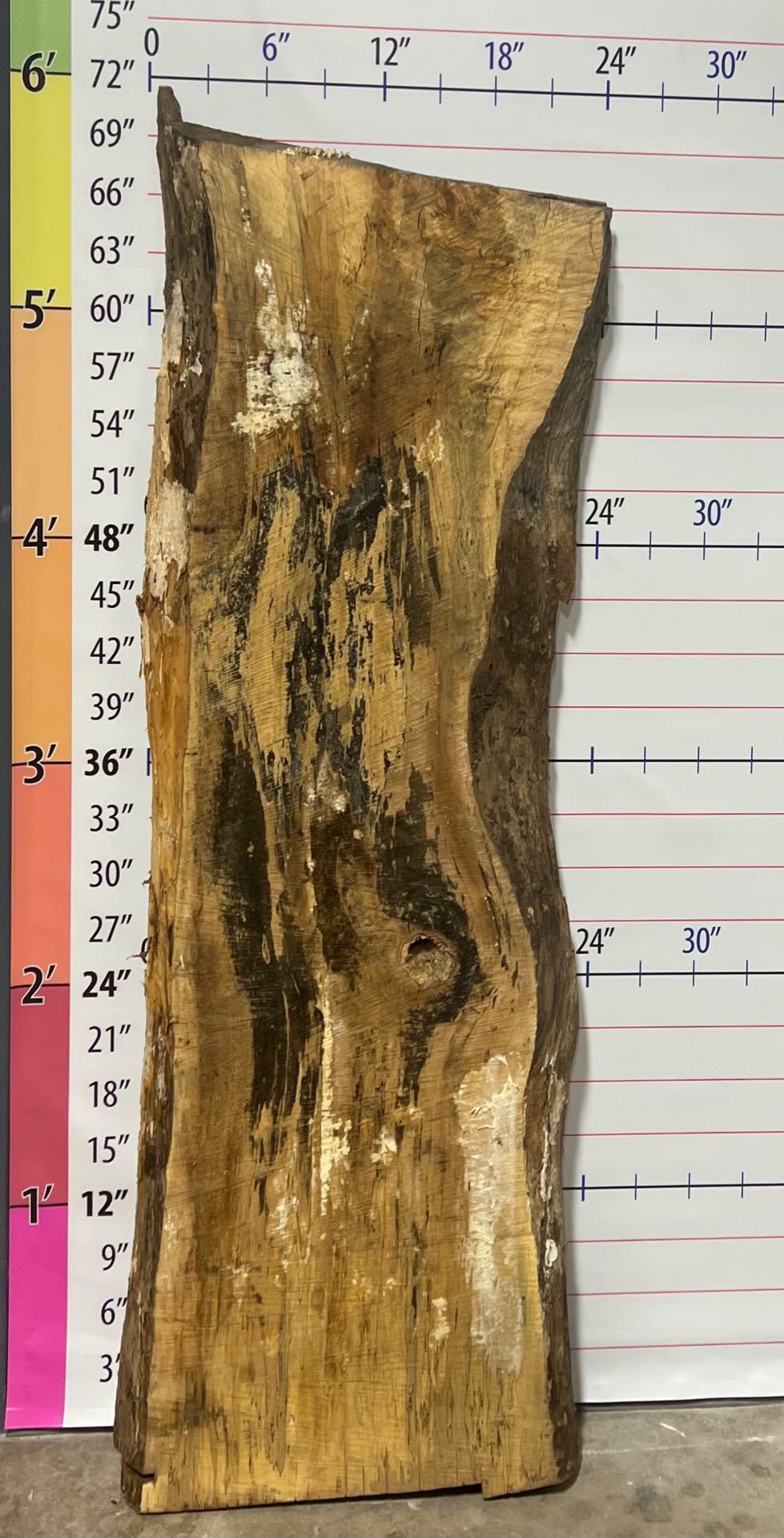 Silver Maple Live Edge Slab - SlvM 2