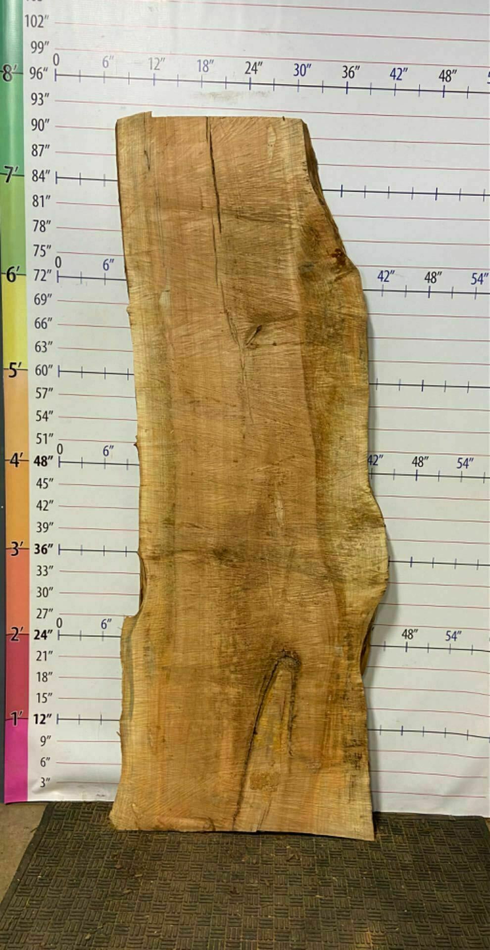 Silver Maple Live Edge Slab - SlvM 21