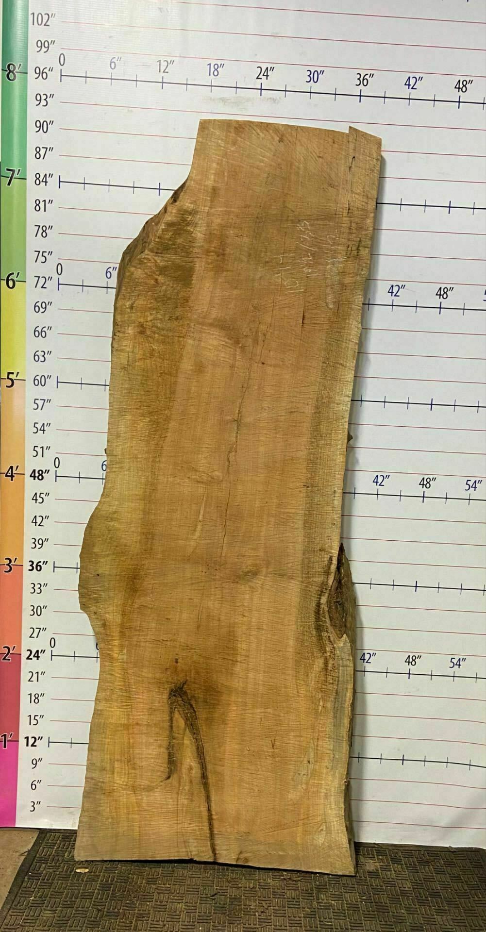 Silver Maple Live Edge Slab - SlvM 22