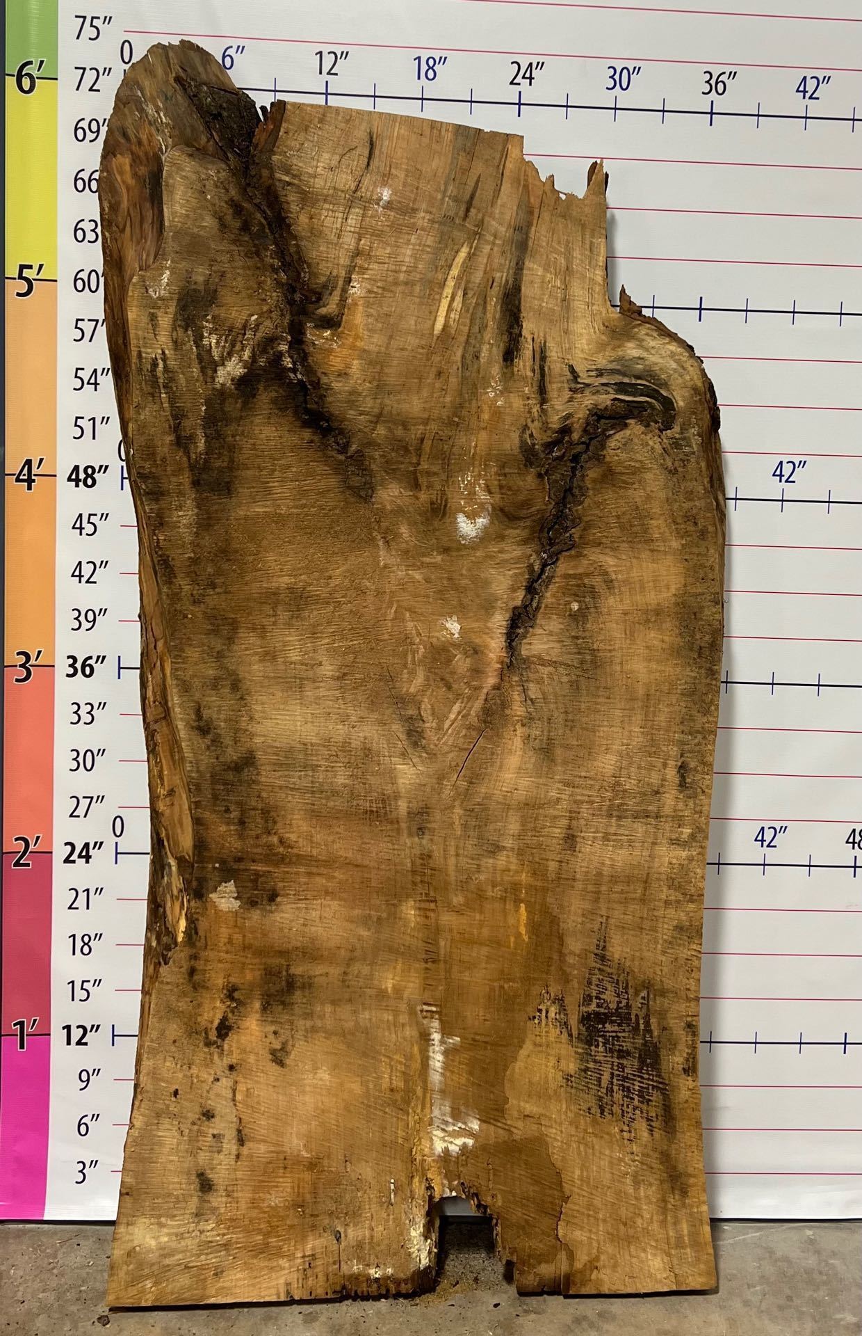 Silver Maple Live Edge Slab - SlvM 3