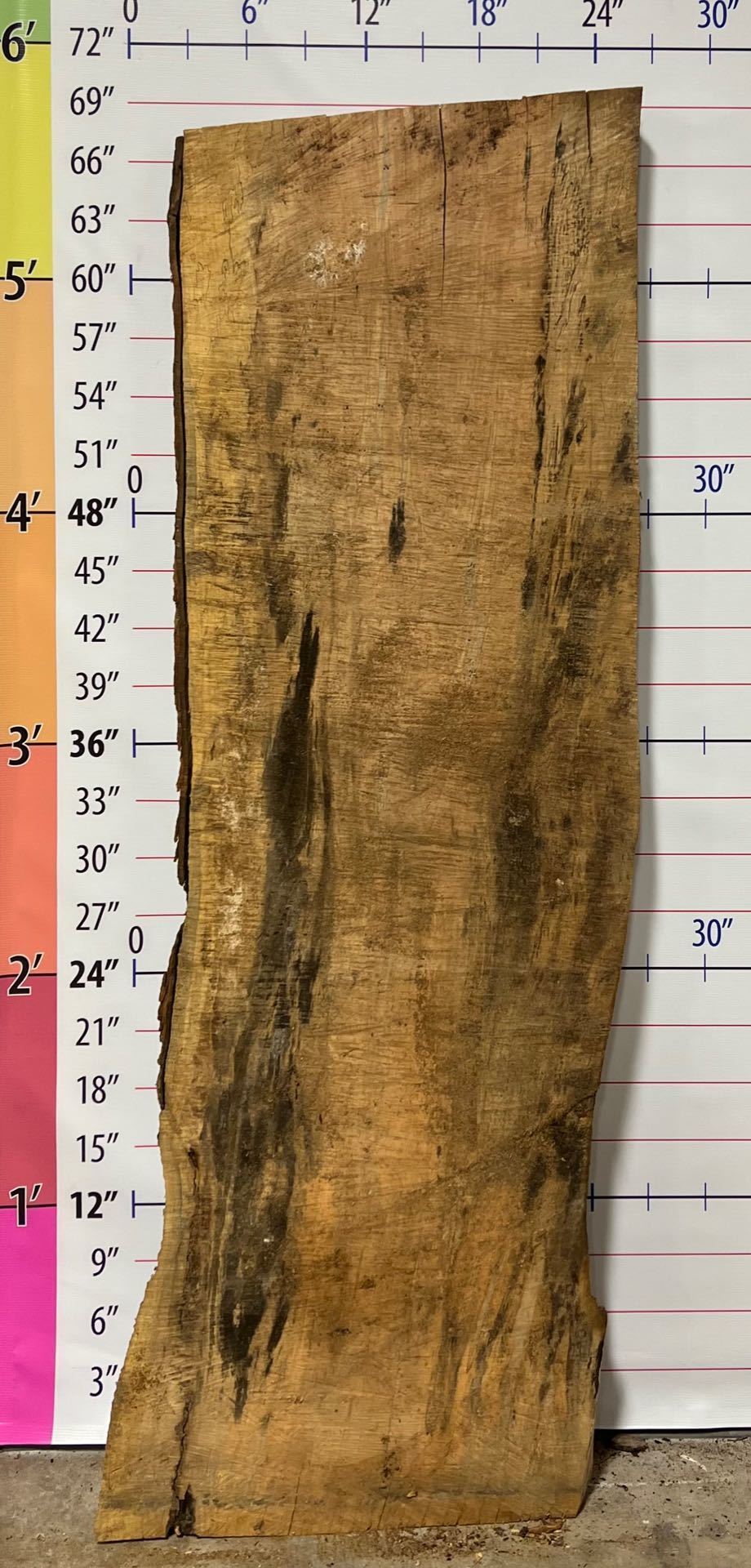 Silver Maple Live Edge Slab - SlvM 5