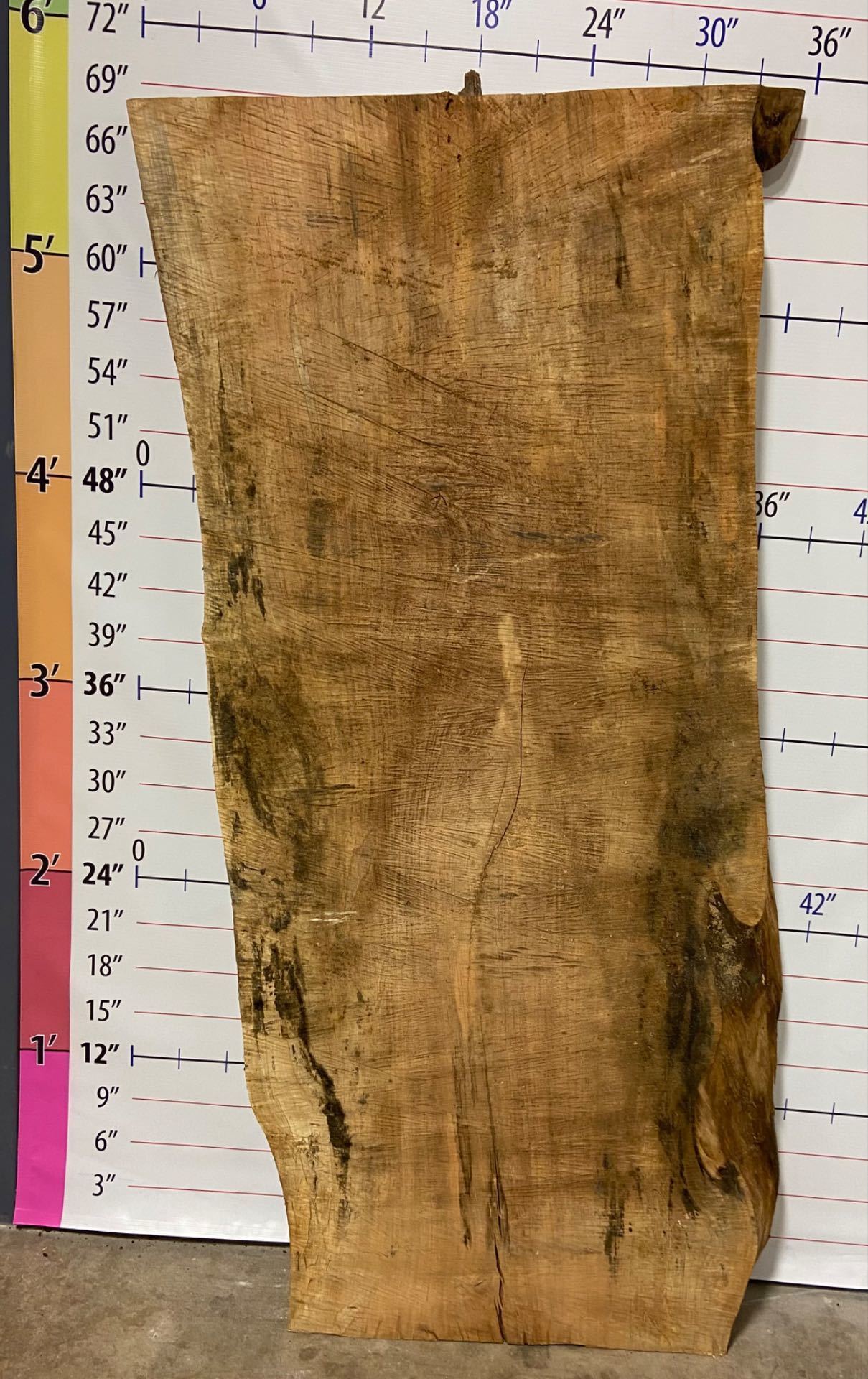 Silver Maple Live Edge Slab - SlvM 6