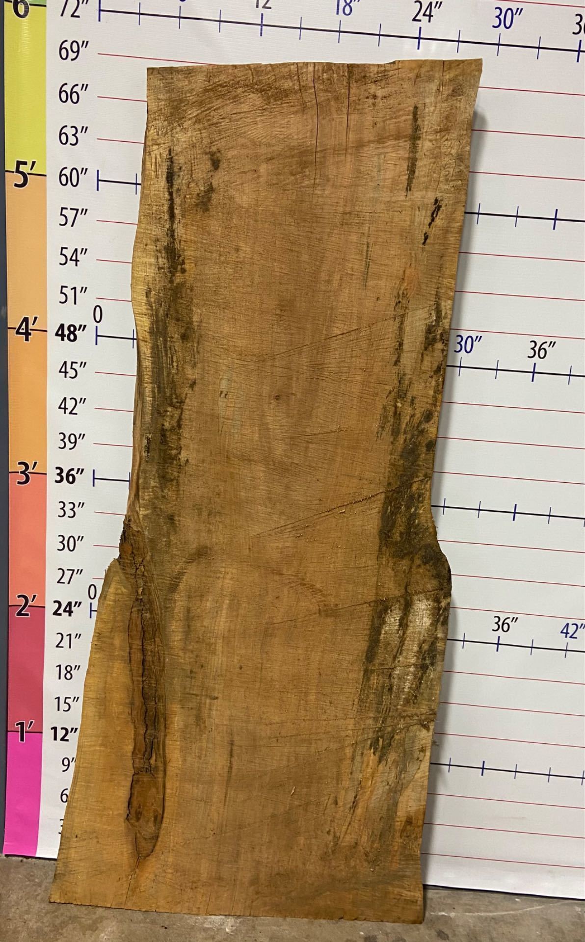 Silver Maple Live Edge Slab - SlvM 7