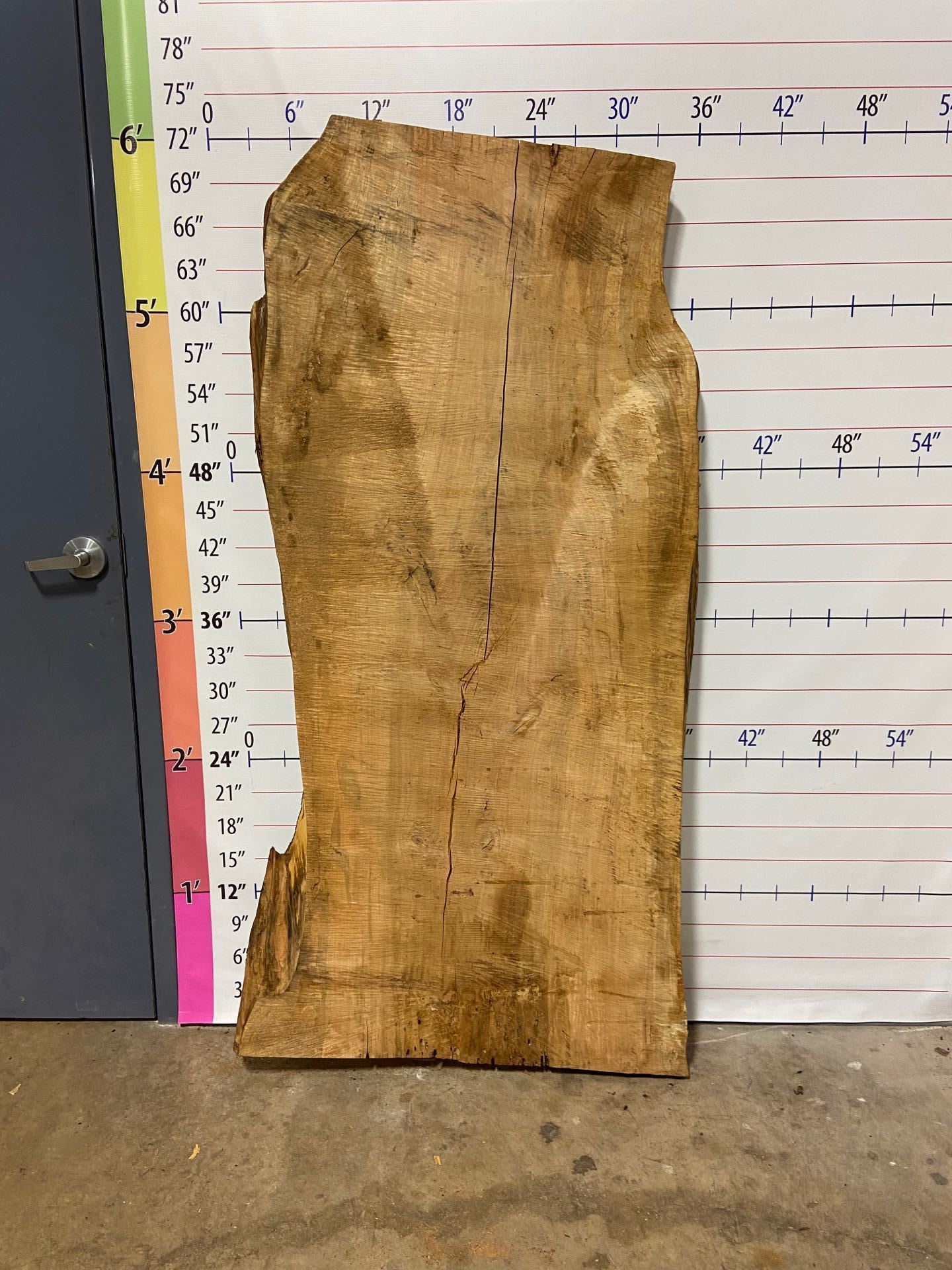 Silver Maple Live Edge Slab - SlvM 9