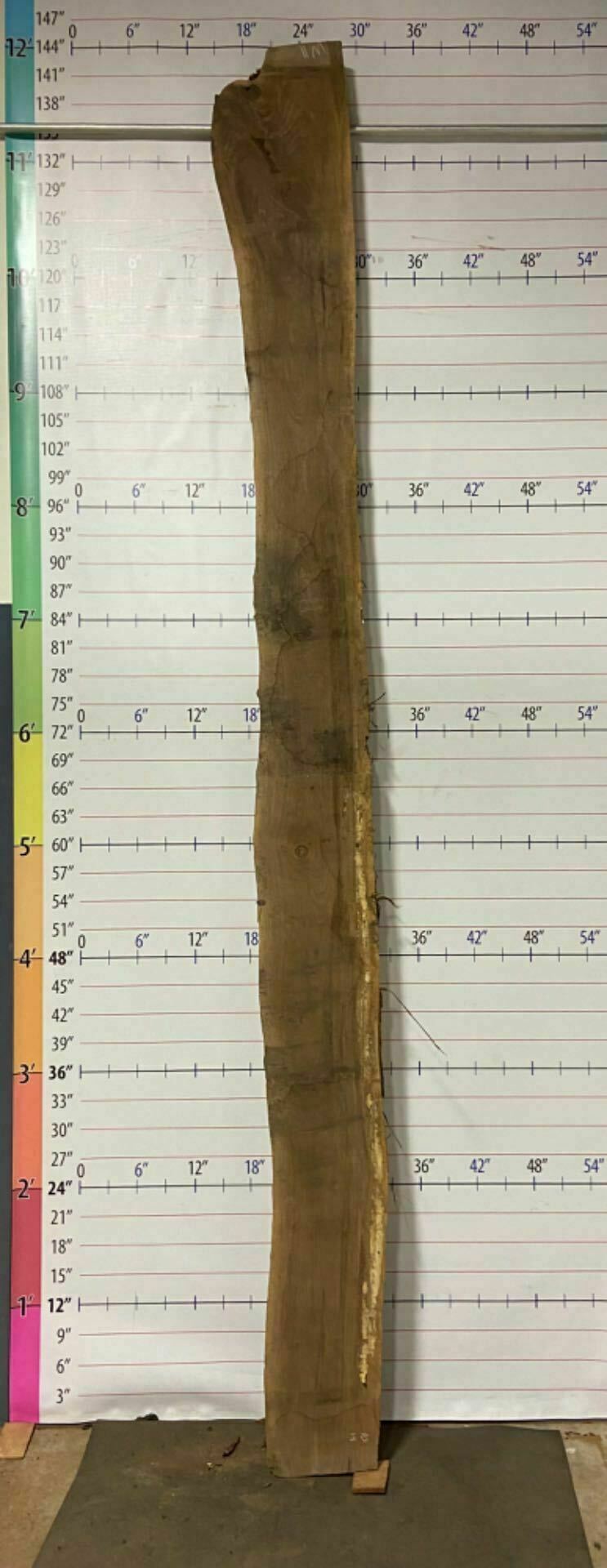 Walnut Live Edge Slab - W 11