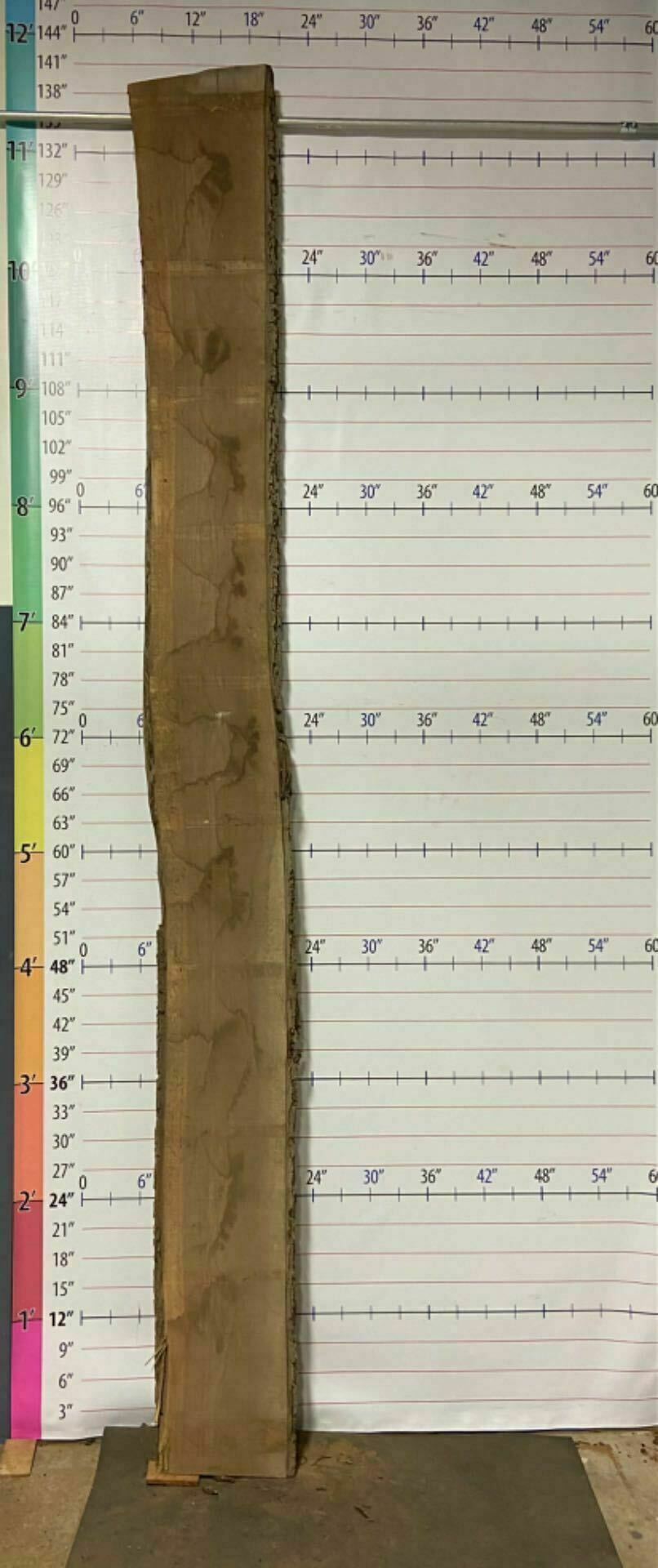Walnut Live Edge Slab - W 12