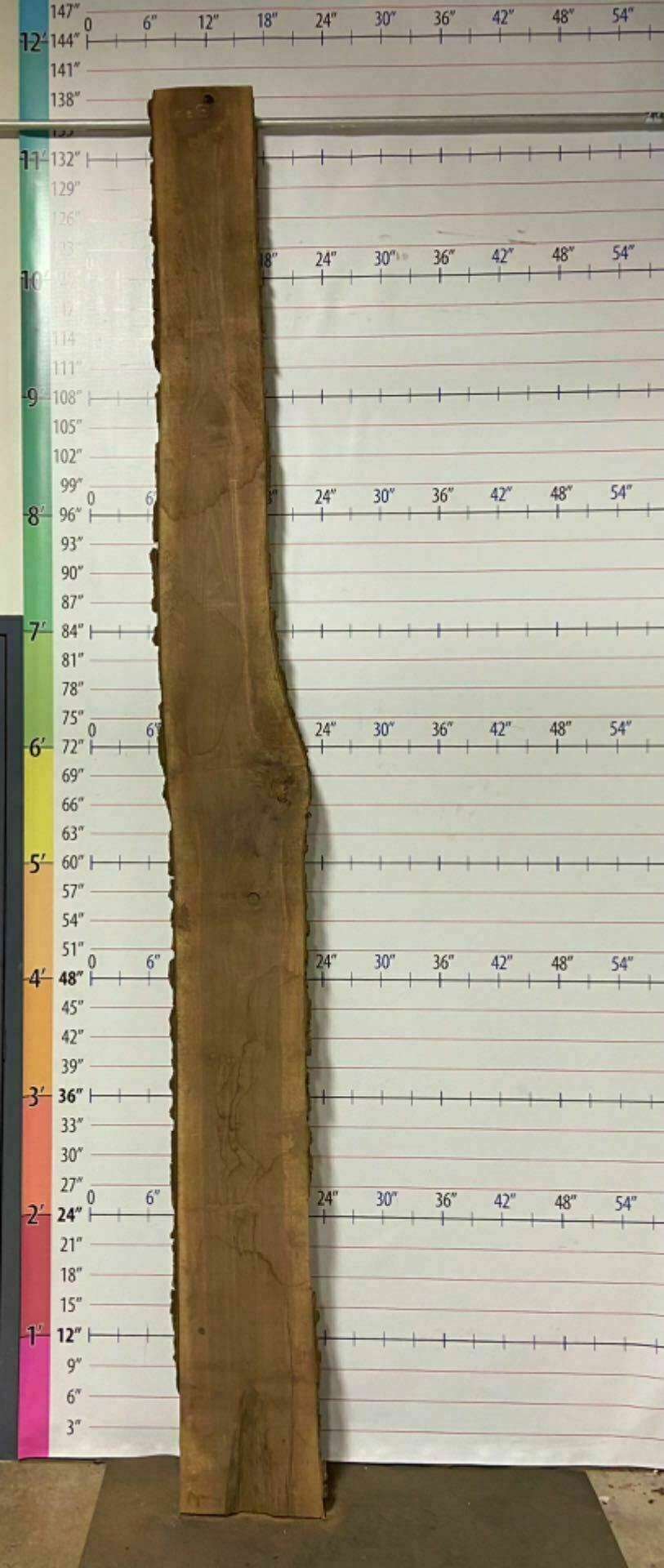 Walnut Live Edge Slab - W 13