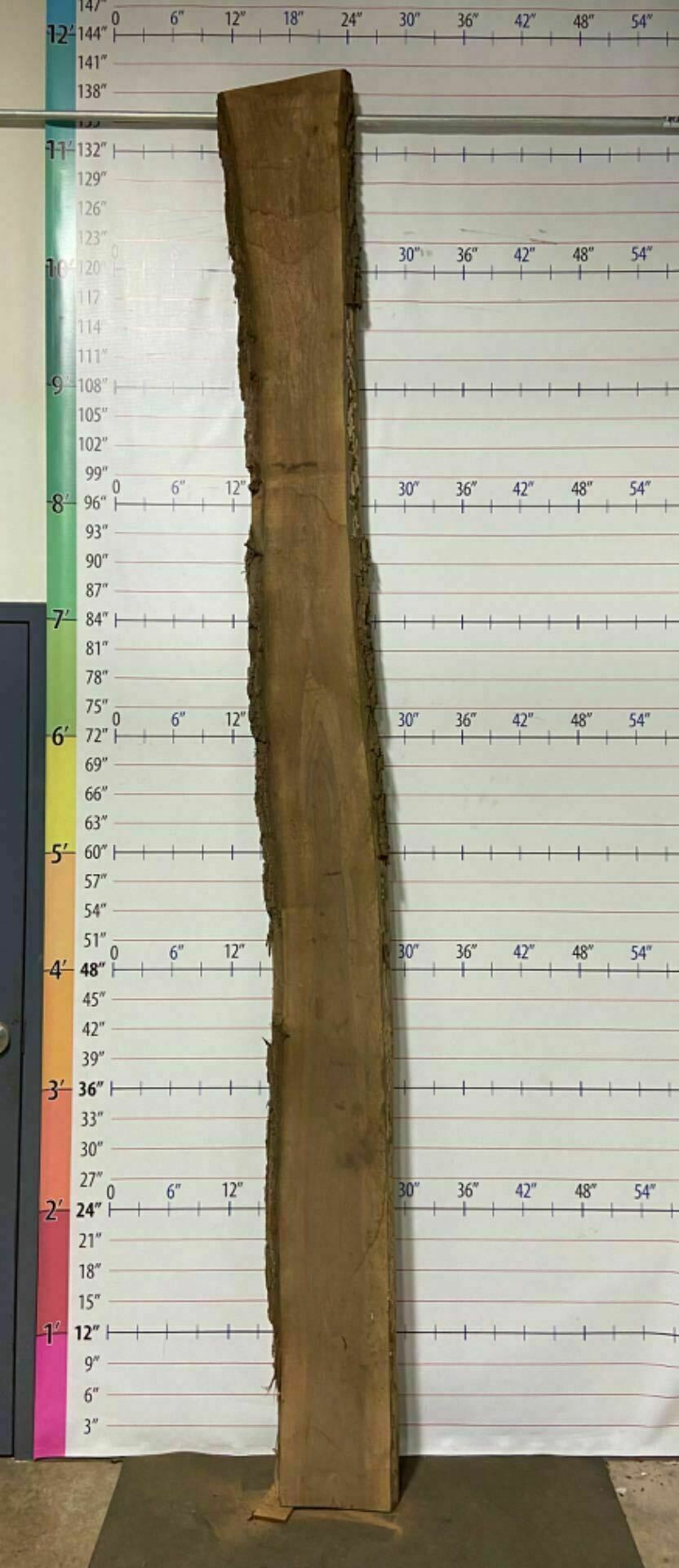Walnut Live Edge Slab - W 14