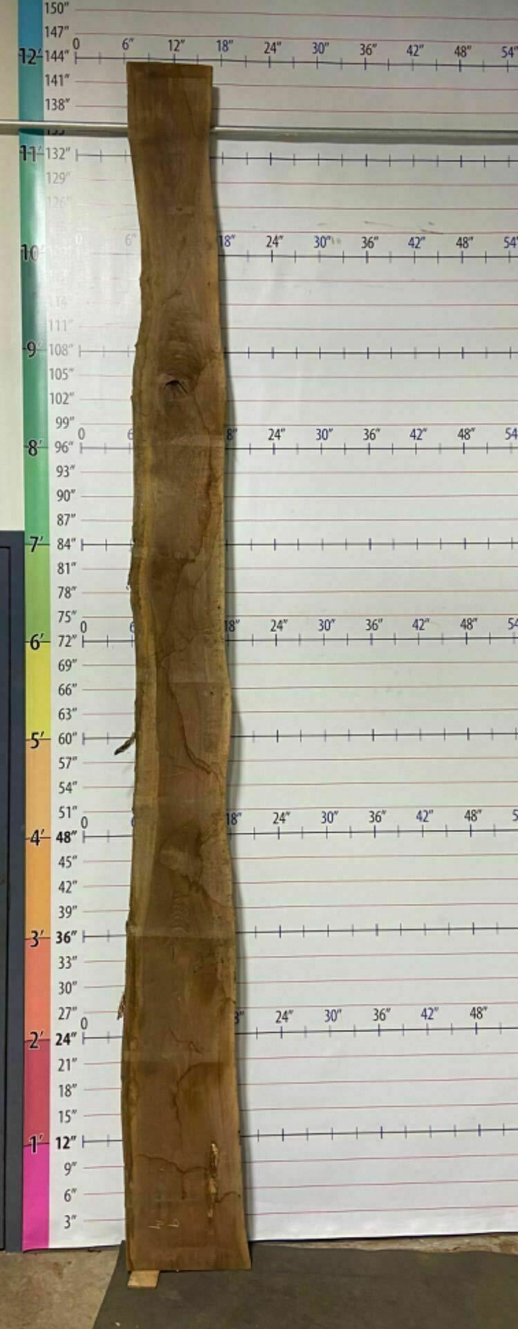 Walnut Live Edge Slab - W 16
