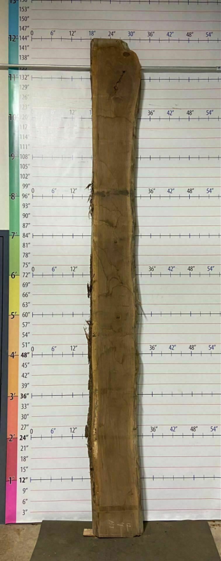 Walnut Live Edge Slab - W 17