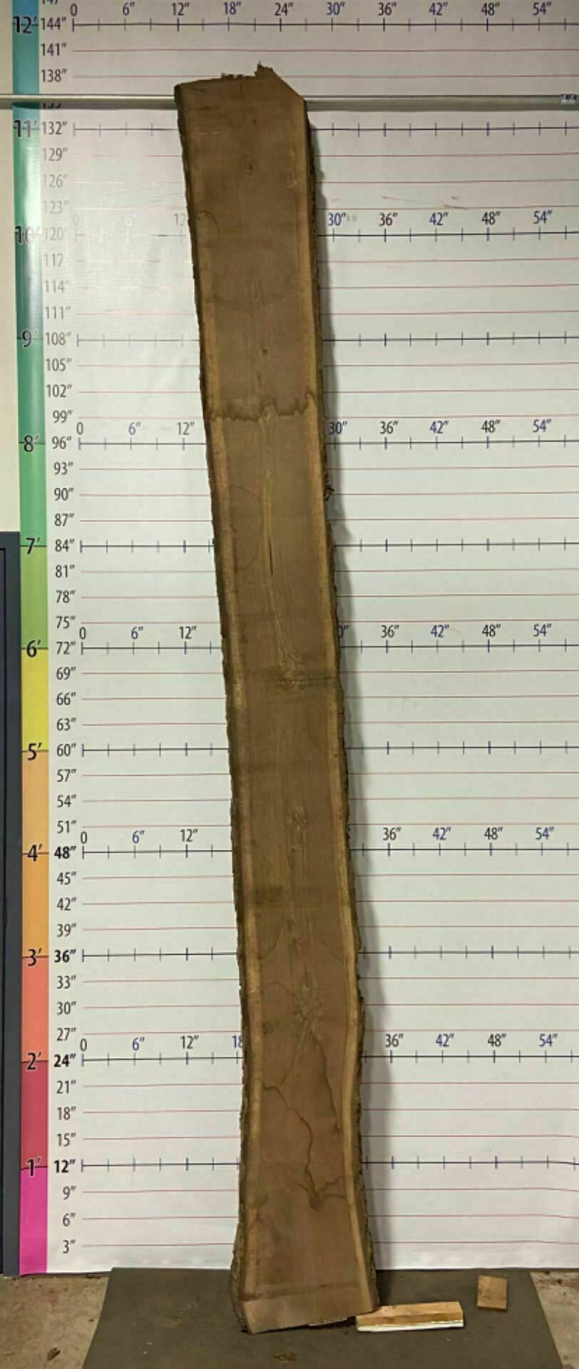 Walnut Live Edge Slab - W 18