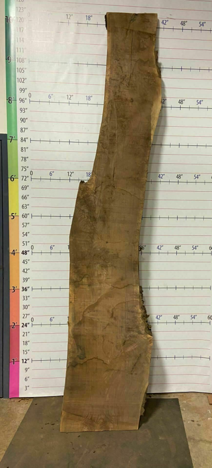 Walnut Live Edge Slab - W 2