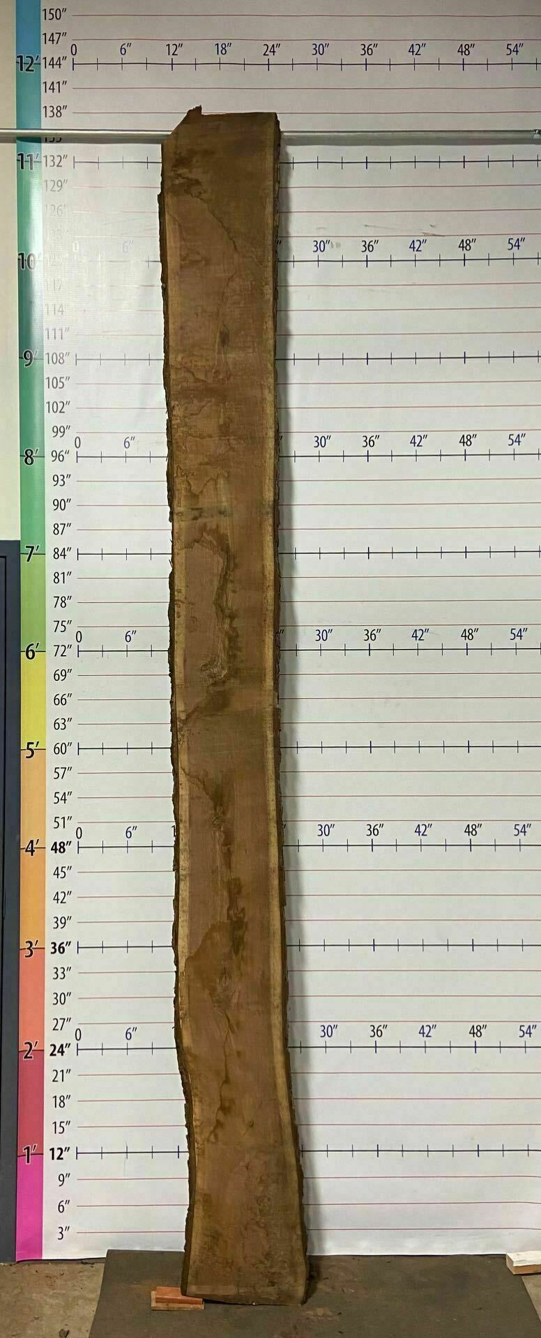 Walnut Live Edge Slab - W 20