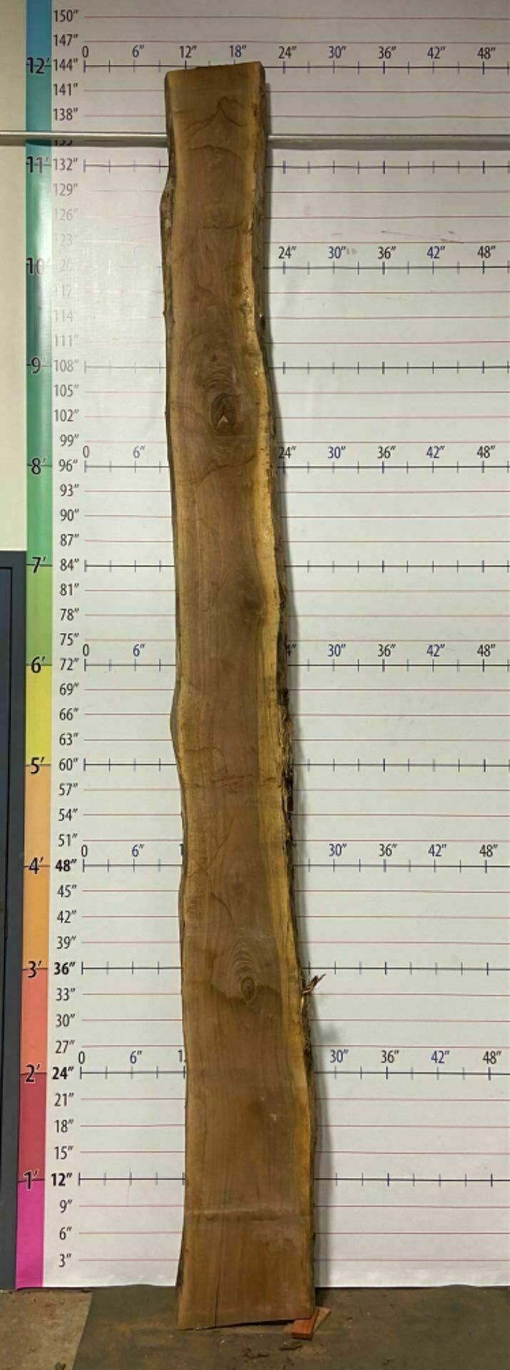 Walnut Live Edge Slab - W 23