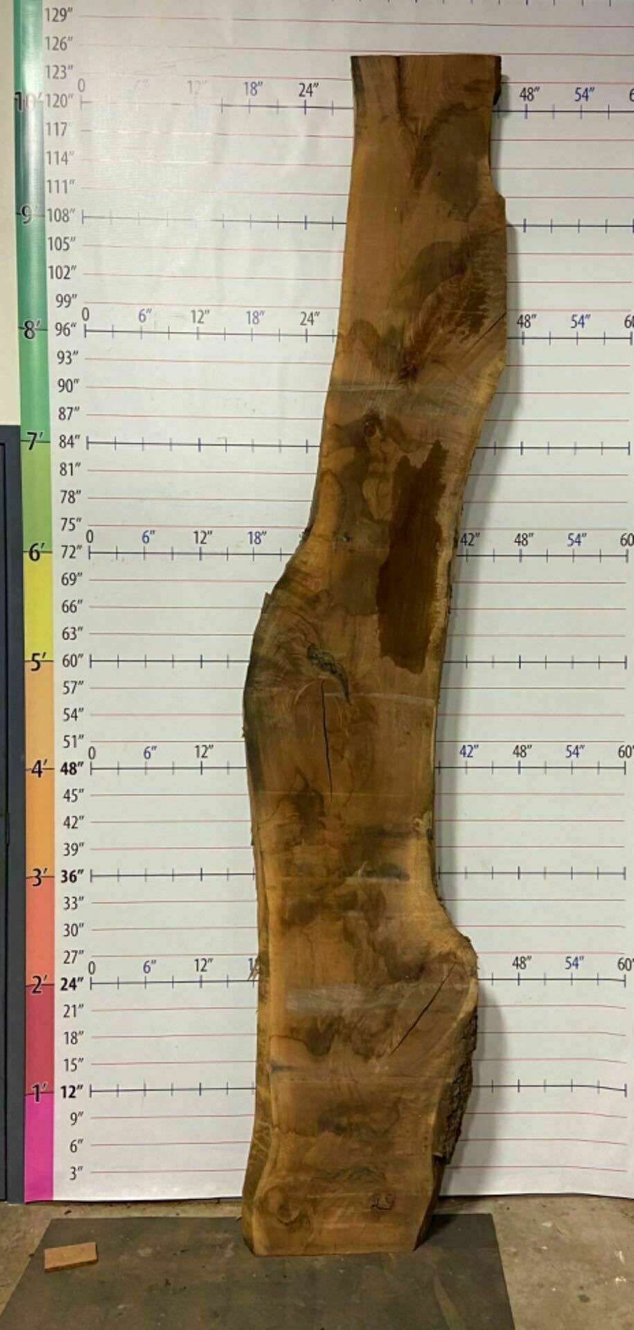 Walnut Live Edge Slab - W 3C