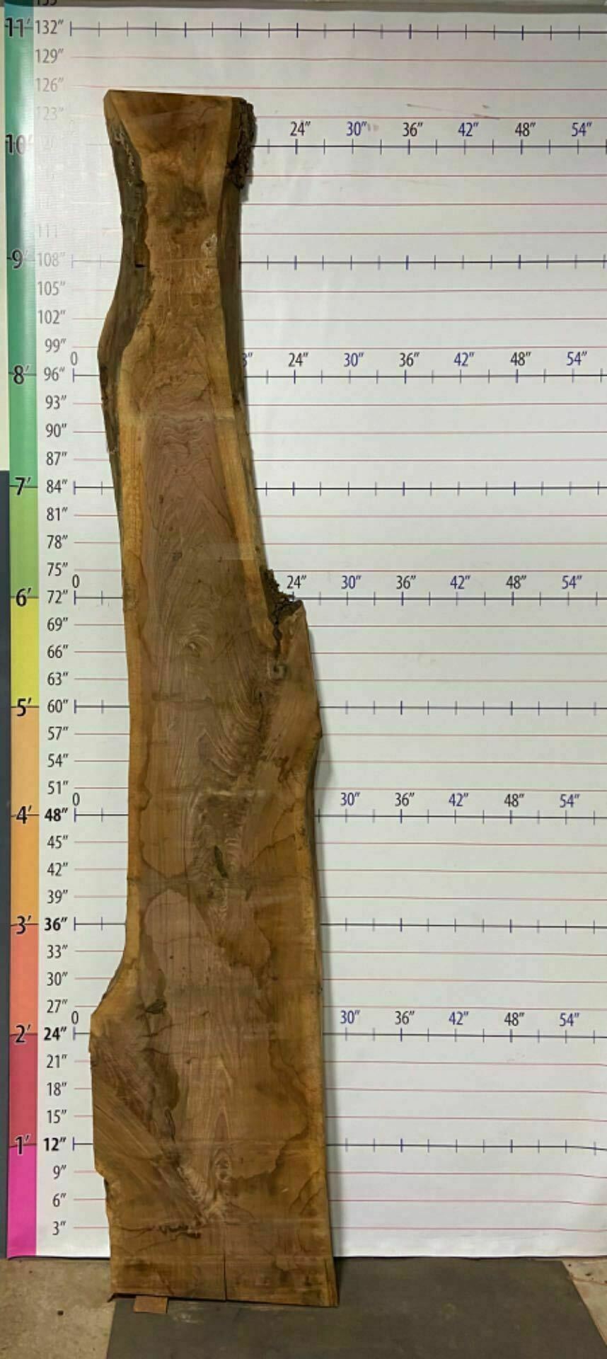 Walnut Live Edge Slab - W 4