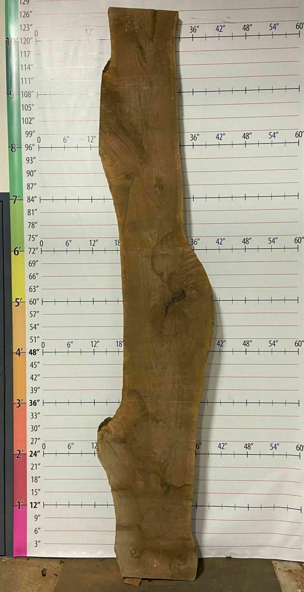 Walnut Live Edge Slab - W 6
