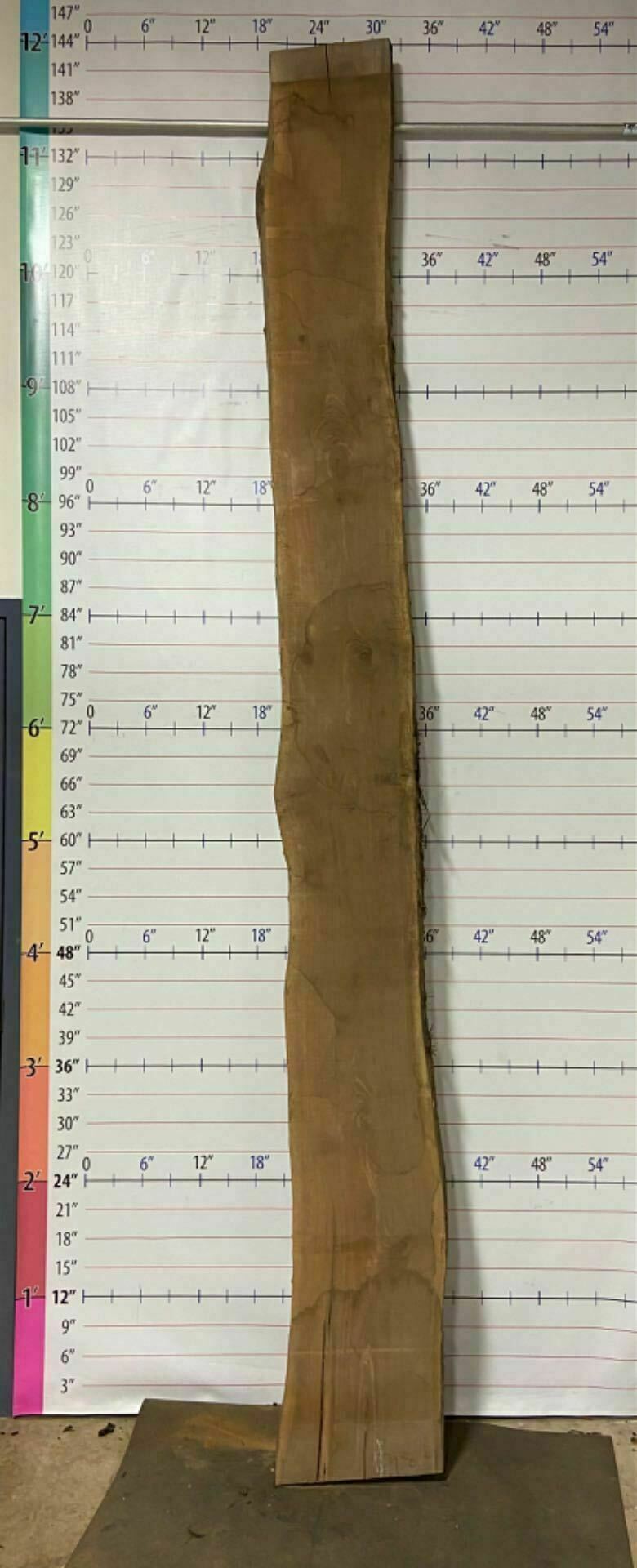 Walnut Live Edge Slab - W 9