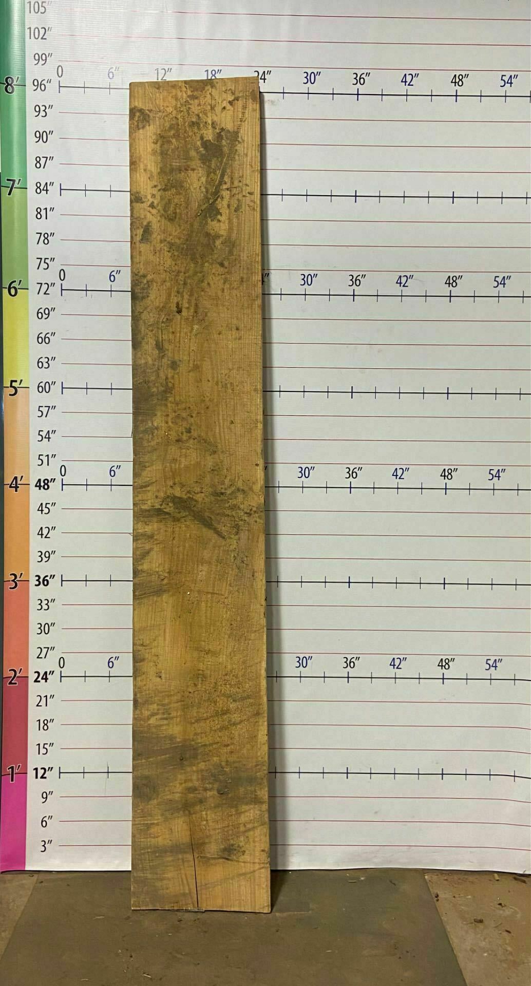 White Oak Live Edge Slab - WO 10