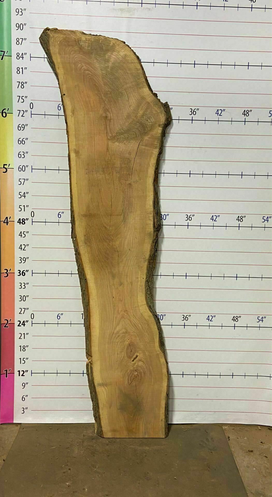 White Oak Live Edge Slab - WO 11