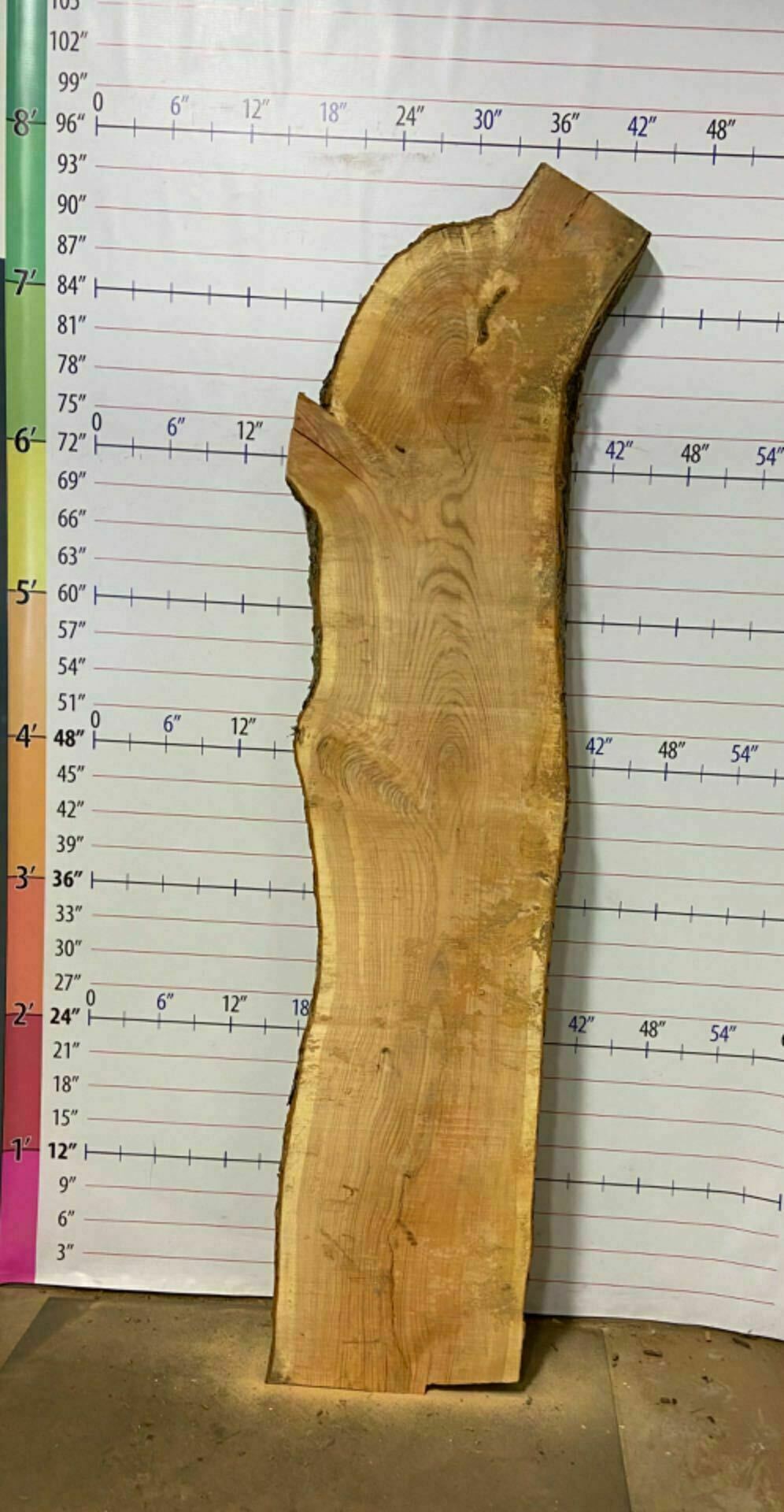 White Oak Live Edge Slab - WO 13