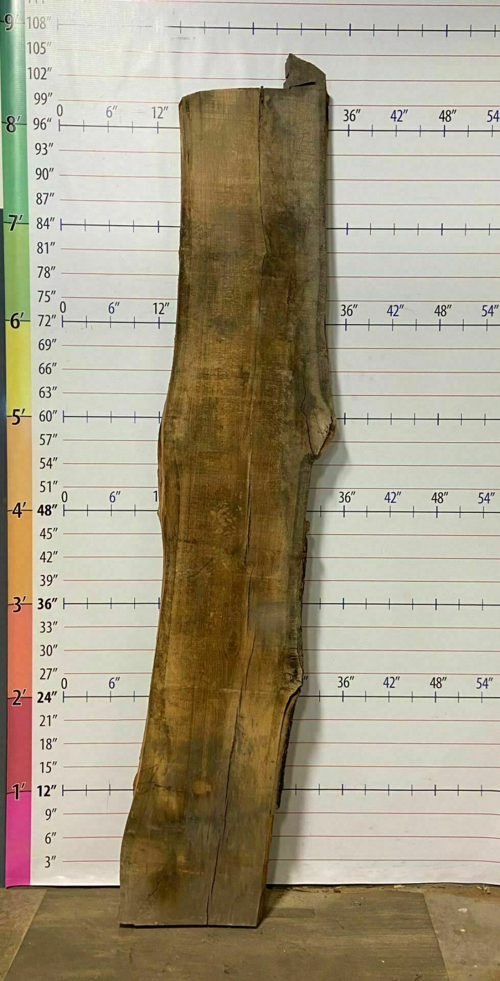 White Oak Live Edge Slab - WO 14