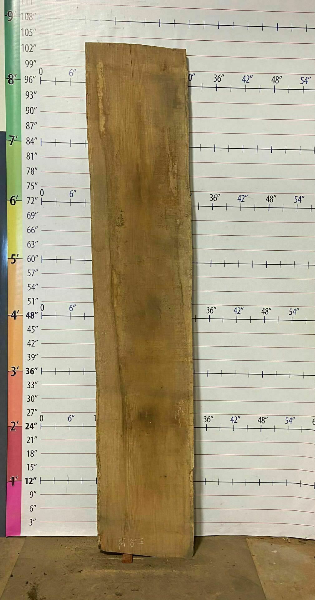 White Oak Live Edge Slab - WO 15