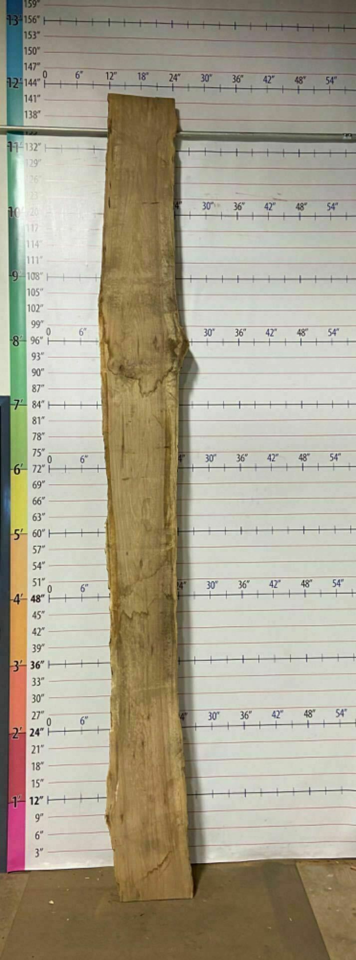 White Oak Live Edge Slab - WO 16