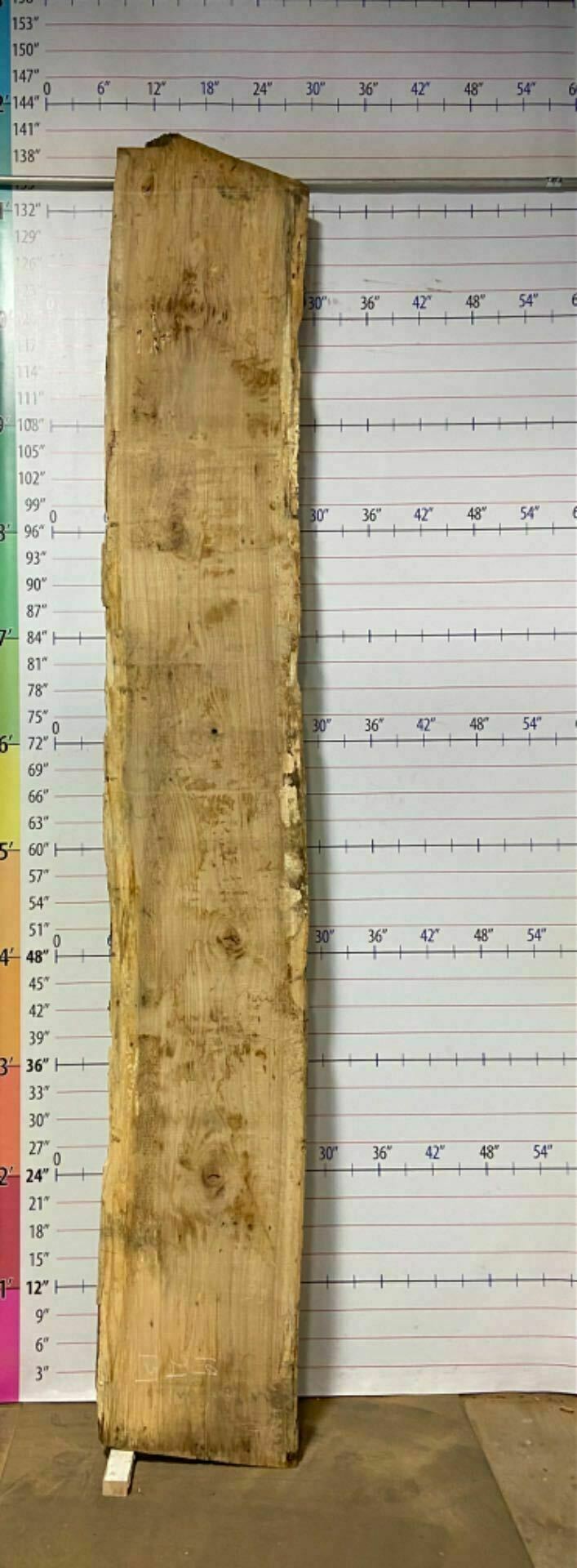 White Oak Live Edge Slab - WO 17