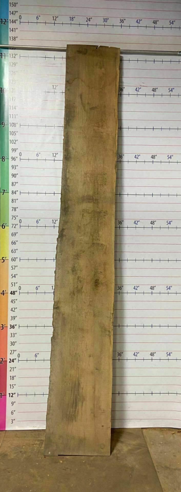 White Oak Live Edge Slab - WO 18