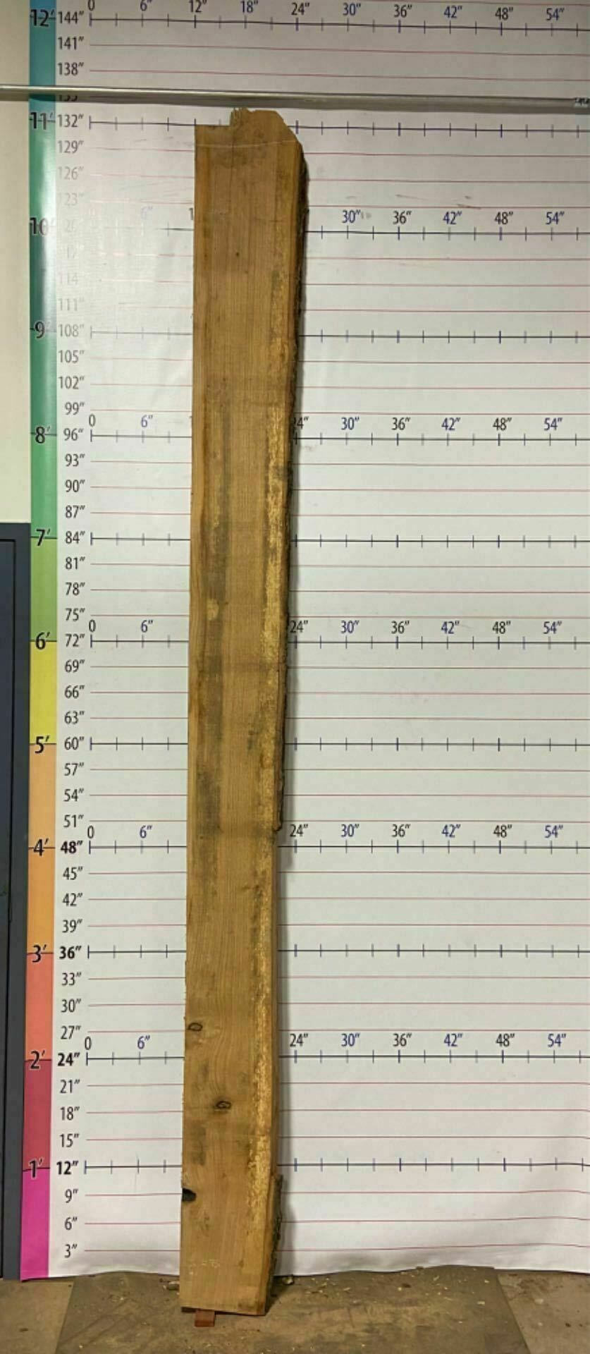 White Oak Live Edge Slab - WO 2