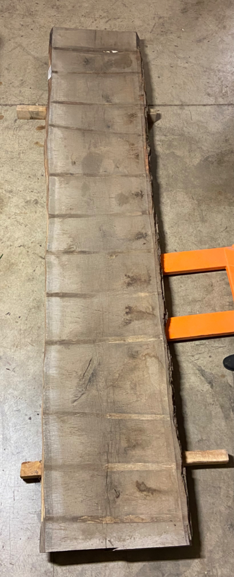 White Oak Live Edge Slab - WO 23